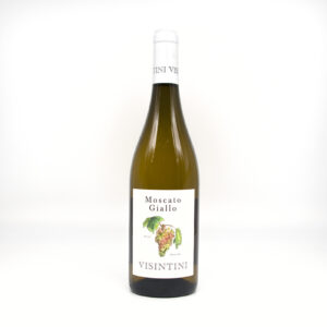 Moscato Giallo - Visintini